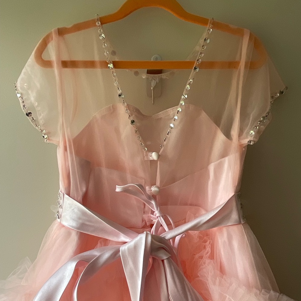 Pink Ruffled Gown with Flutter Sleeves - Picture 6 of 15